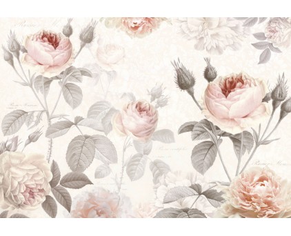 XXL4-034 Фотообои Komar "La Maison"