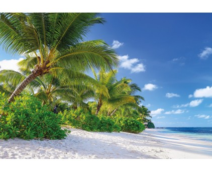 8-992 Фотообои Komar "Reunion"