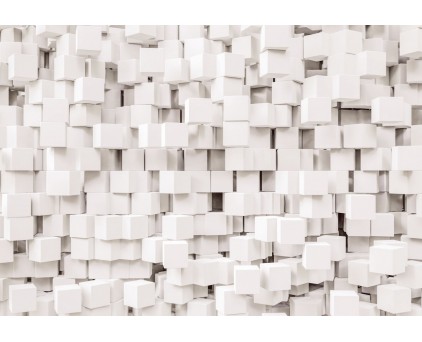 8-207 Фотообои Komar "Gravity"