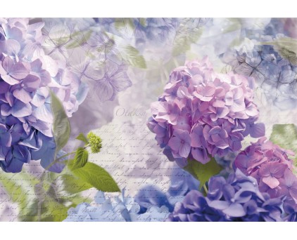 8-705 Фотообои Komar "Otaksa"