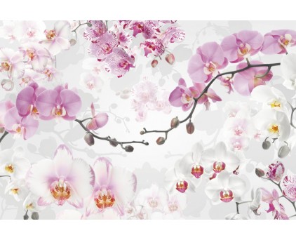 XXL4-032 Фотообои Komar "Allure"