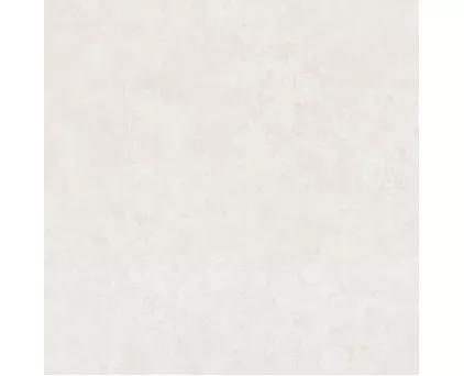 Обои белые однотонные Euro Decor виниловые Garden арт. 9094-00